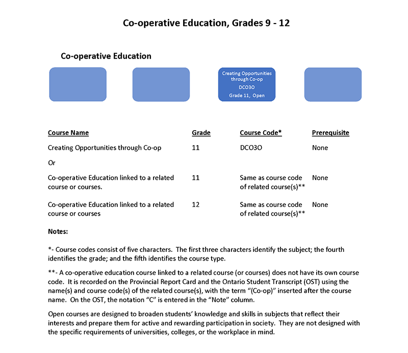 Co op Flow Chart final