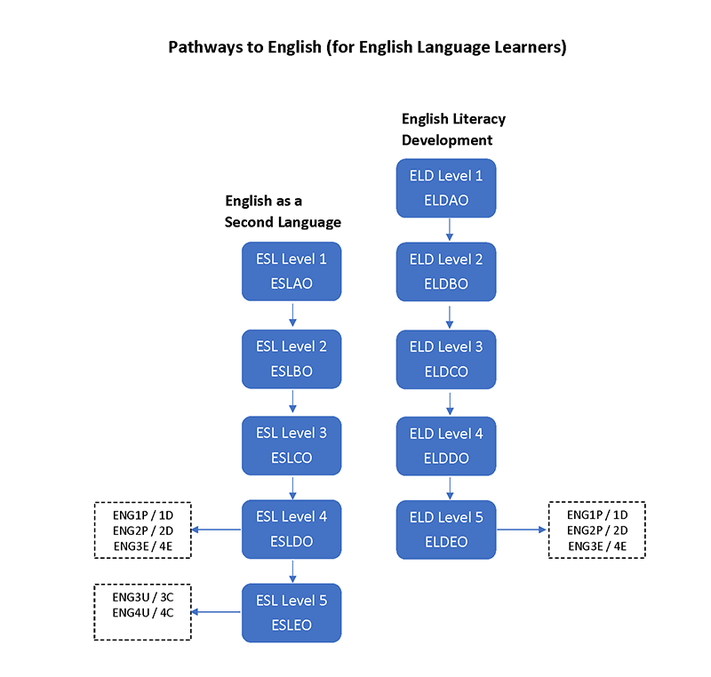 Pathways to English Flow Chart final