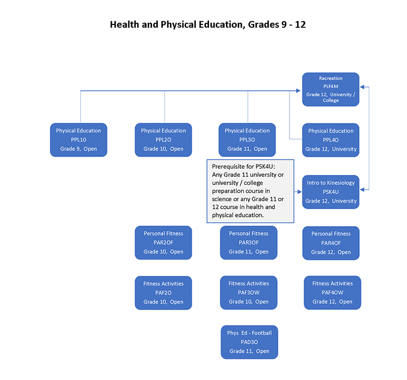 Phys ED Flow Chart final